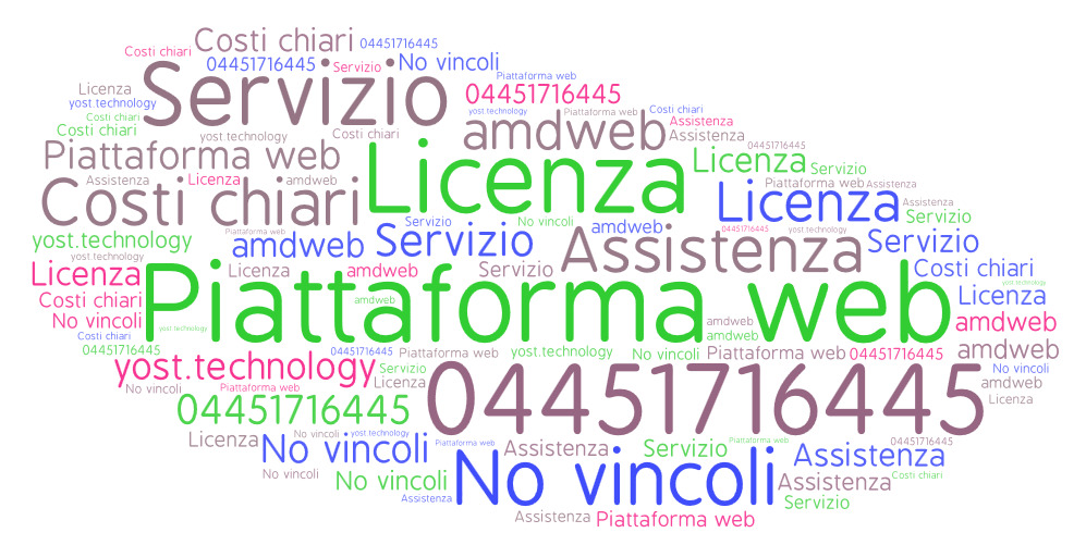 Perché scegliere una piattaforma web in licenza?